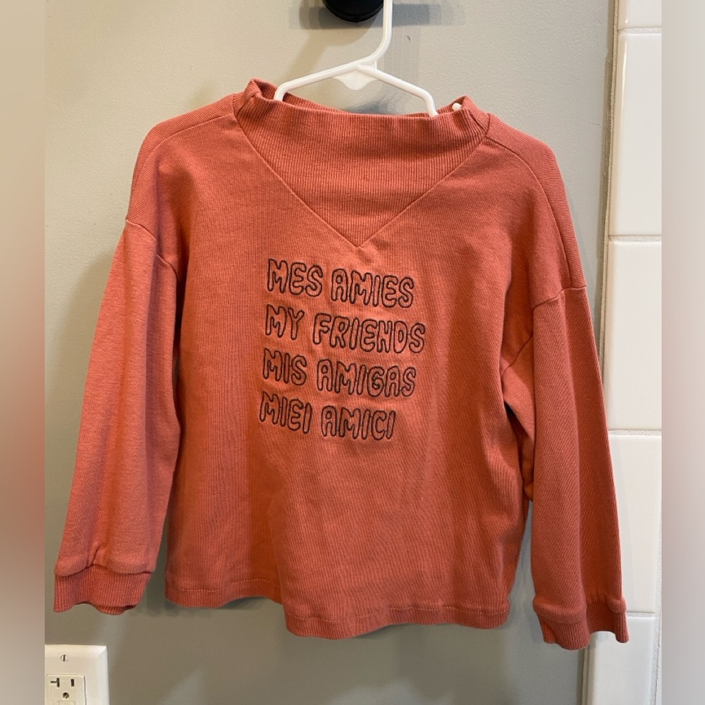 Zara Crewneck Sweatshirt with Embroidery / Size 3-4Y (104 cm) / GUC